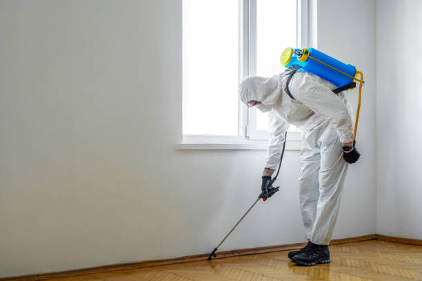 Best Residential Pest Control  in Ironton, OH